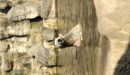 Klub sociální rehabilitace do ZOO Brno dne 11.3.2026